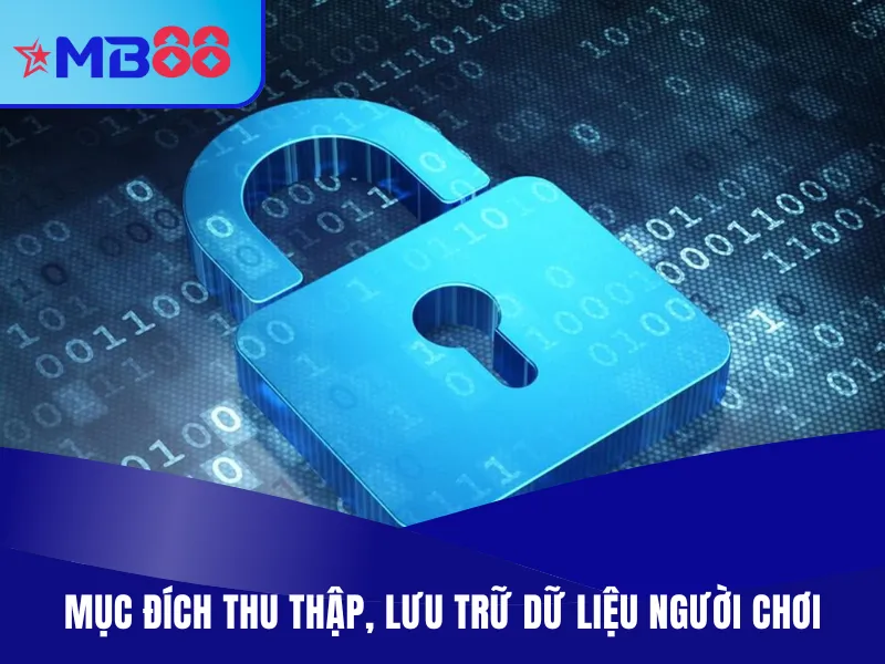 Chính Sách Bảo Mật MB88 Mới Nhất 2025 Cho Hội Viên 3 Lý do thu thập dữ liệu - chính sách bảo mật MB88