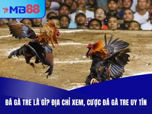 Đá gà tre